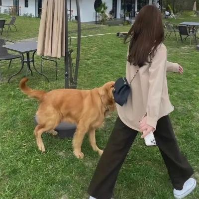 坏男孩的街
